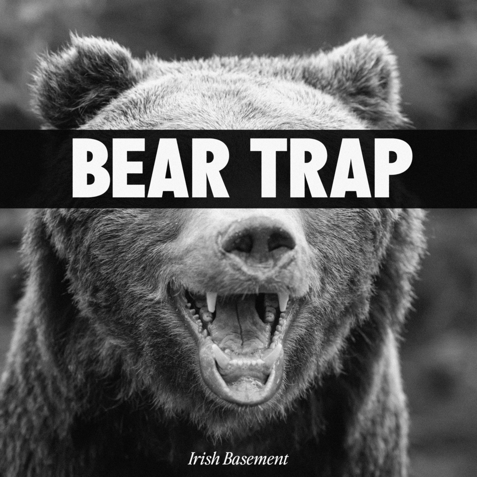 Born to trap. Bear Trap. Trap for Bear.